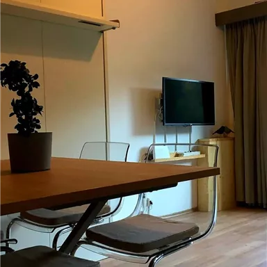 A simple dining room with a wooden table and modern chairs. In the background, there is a TV and a plant on the table.