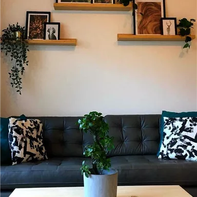 A modern living room with a gray sofa and decorative cushions. Pictures and shelves with plants hang on the wall.