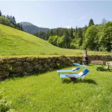 A beautiful meadow with two loungers and a small green vehicle. In the background, there is a wooded hill and a blue sky.
