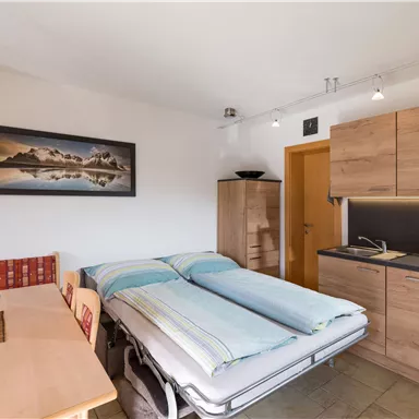 Ein gemütliches Zimmer mit einem klappbaren Bett und einer kleinen Küchenzeile. Der Raum ist schlicht eingerichtet und wirkt einladend.