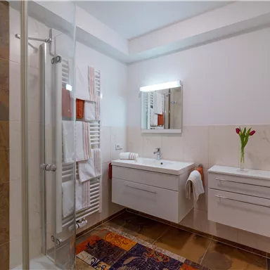 Ein modernes Badezimmer mit einer Dusche, einem hellen Spiegel und einem Waschbecken. Frische Tulpen auf dem Waschbecken verleihen dem Raum eine einladende Atmosphäre.