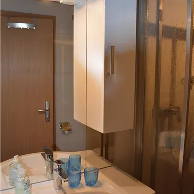 A modern bathroom with a sink and a mirror. In the background, a shower and a wooden door can be seen.