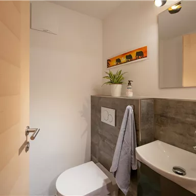 A modern bathroom with a toilet and a sink. On the wall hangs a picture with elephants, and a plant adds fresh accents.