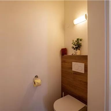 A small, modern bathroom with a white toilet fixture and a wooden shelf. The walls are light, and a plant along with a towel adds a personal touch to the space.