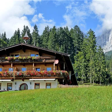A traditional house in the mountains, surrounded by lush greenery and tall trees. In the background, a majestic mountain rises under a clear sky.