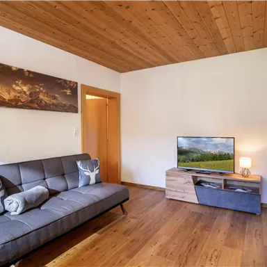 A modern furnished living room with a gray sofa and a television on a wooden cabinet. The walls are light and the wooden ceiling gives the room a cozy atmosphere.