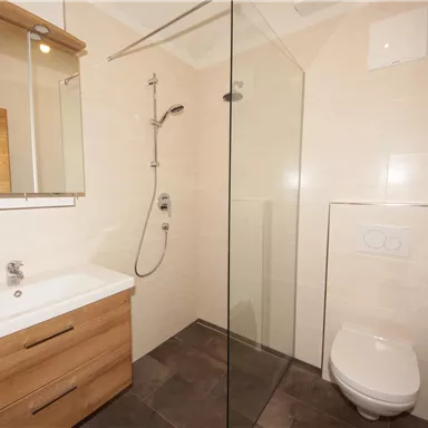 Ein modernes Badezimmer mit einer gläsernen Dusche, einem Waschbecken in Holzoptik und einem WC. Die Wände sind hell und wirken freundlich.