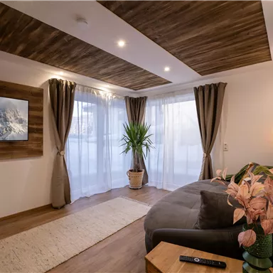 A cozy living room with a wooden ceiling and large windows. A green plant and a sofa invite you to relax.