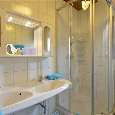 A modern bathroom with a shower and a large mirror. Blue towels are placed on the sink.