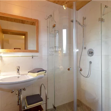 Ein modernes Badezimmer mit einer Dusche aus Glas und einem Waschbecken. Pflanzen und Fenster bringen frisches Licht in den Raum.