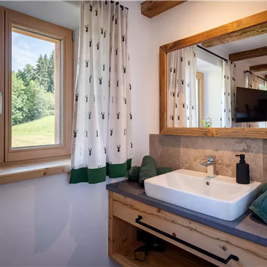 A modern bathroom with a sink and wooden shelves. Large windows offer a view of the green landscape.
