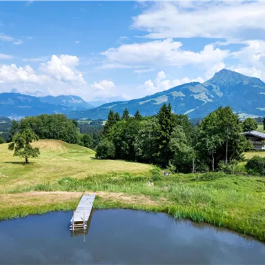 A picturesque landscape with a small pond and green meadows. In the background, mountains and blue sky can be seen.