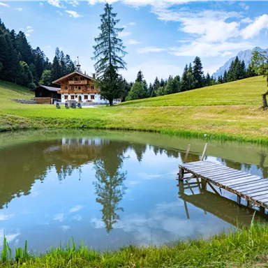 A picturesque house by the edge of a pond, surrounded by green meadows and tall trees. The sky is clear and blue, creating a serene atmosphere.