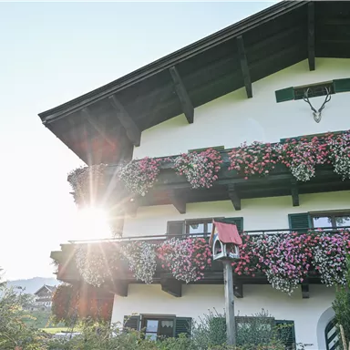A charming house with balconies adorned with colorful flowers. The sun shines gently in the background.