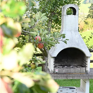 A garden with a decorative stone grill. In the foreground, apples and green leaves are visible.