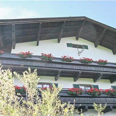 A traditional alpine house with a wooden balcony adorned with blooming flowers. The sky is clear and sunny.