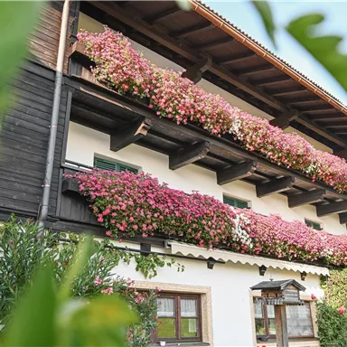 A traditional house with flower boxes full of beautiful flowers. The balcony is richly decorated and gives the building an inviting atmosphere.