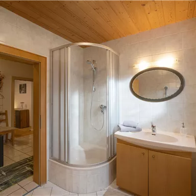 A modern bathroom with a shower cabin and a sink. The room features wood paneling and is bright and inviting.