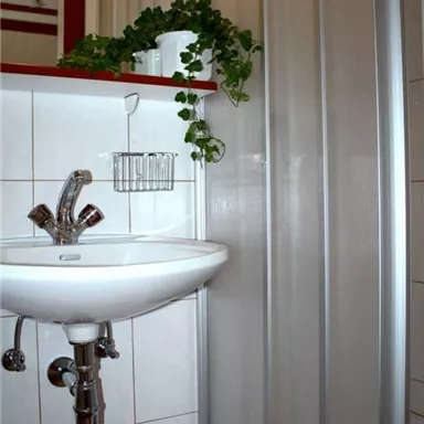 A bathroom with a sink and a shower enclosure. Green plants give the room a fresh touch.