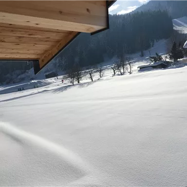 A snowy landscape with a clear sky. In the background, trees and some buildings can be seen.