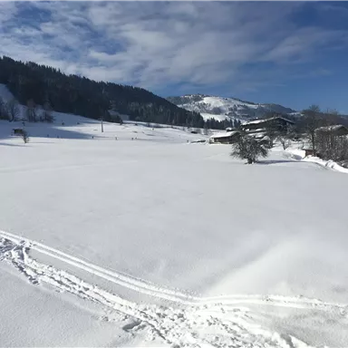 A snowy landscape with gentle hills and a clear blue sky. In the background, some mountains and buildings are visible.