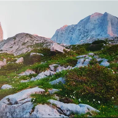 Eine majestätische Berglandschaft mit felsigen Gipfeln und grünen Wiesen. Wildblumen blühen zwischen den Steinen.