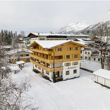 An idyllic wooden house in a snowy landscape with mountains in the background. The surroundings are peaceful and wintry, ideal for relaxation and activities in the snow.