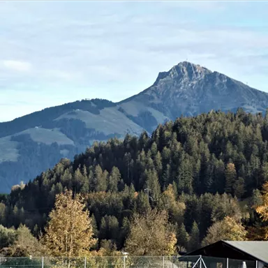 Eine majestätische Berglandschaft mit einem hohen Gipfel im Hintergrund. Vorne erheben sich Bäume in warmen Herbstfarben.