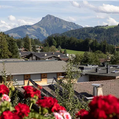A picturesque mountain landscape with simple houses and lush greenery.
In the foreground, red flowers are blooming.
View of the Kitzbühler Horn from the balcony.