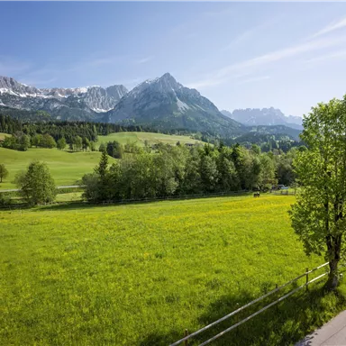 An idyllic landscape with green meadows and gentle hills. In the background, majestic mountains rise under a clear sky.