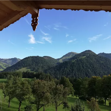 Eine schöne Aussicht auf grüne Hügel und Berge unter einem klaren blauen Himmel. Im Vordergrund sind Bäume und ein Weg sichtbar.