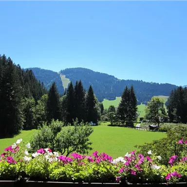 Eine malerische Landschaft mit grünen Wiesen und hohen Bäumen. Im Vordergrund blühen bunte Blumen und im Hintergrund sieht man die sanften Hügel.