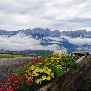 Ein blühender Pflanzkasten mit bunten Blumen steht im Vordergrund. Im Hintergrund sind majestätische Berge und Wolken zu sehen.