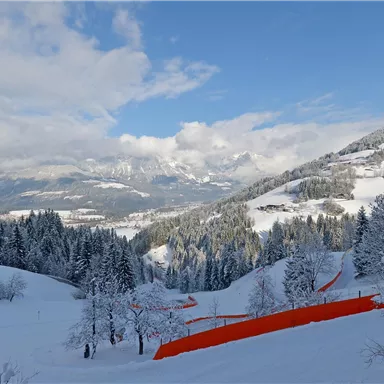 A winter landscape with snow-covered trees and mountains in the background. An orange slope adds a splash of color.