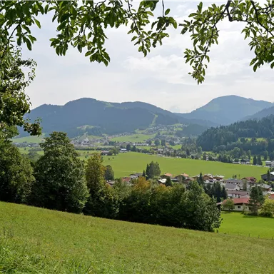 A green meadow with trees in the foreground and gentle hills in the background. The sky is cloudy and the landscape appears calm and idyllic.
