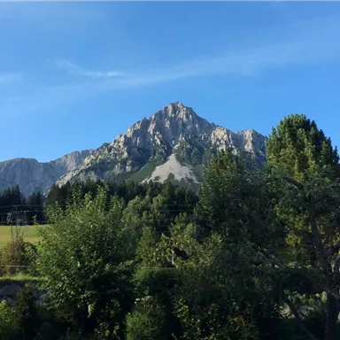A majestic mountain under a clear blue sky. Surrounded by trees and green landscape.