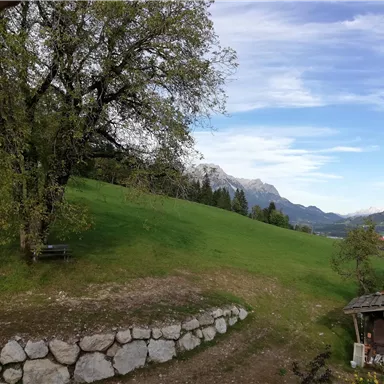 Eine grüne Wiese mit einem alten Baum und Blick auf Berge im Hintergrund. Der Himmel ist teilweise bewölkt mit blauem Himmel.