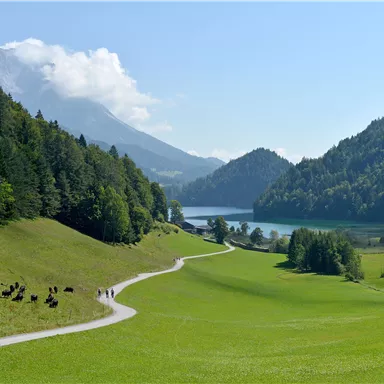 A picturesque landscape with green meadows and a clear lake. In the background, you can see mountains and a blue sky.