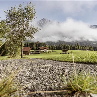 Eine malerische Landschaft mit grünen Wiesen und sanften Hügeln. Im Hintergrund sind Berge und ein bewölkter Himmel zu sehen.
