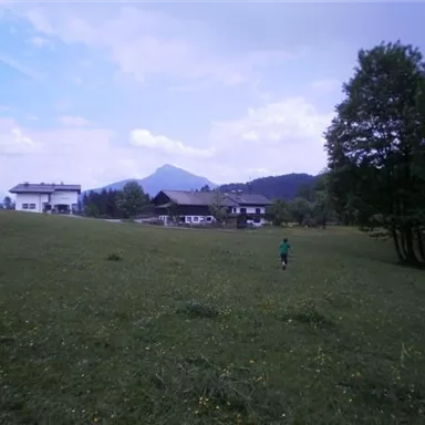 A quiet meadow with a child running towards the mountains. In the background, traditional houses and a beautifully wooded landscape can be seen.