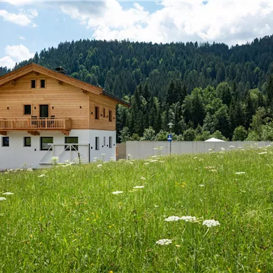 A newly built wooden house stands in a green meadow. In the background, forests and gentle hills can be seen.