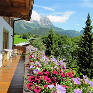 Ein Balkon mit bunten Blumen und wunderschönen Bergen im Hintergrund. Der Himmel ist klar und die Landschaft ist grün und einladend.