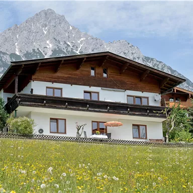 A picturesque house in the midst of a blooming meadow. In the background, majestic mountains rise under a clear sky.