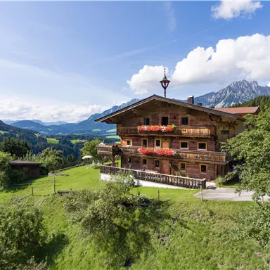 Ein schönes Holzhäuschen in der Berglandschaft. Umgeben von grünen Wiesen und majestätischen Bergen unter einem blauen Himmel.