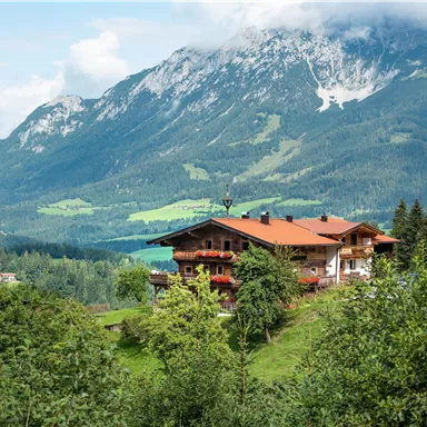 Ein schönes Chalet in den Bergen, umgeben von grünen Wiesen und Bäumen. Im Hintergrund erheben sich majestätische Berge unter einem bewölkten Himmel.