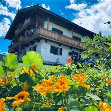 A charming house with a wooden balcony, surrounded by colorful flowers. The sky is blue with scattered clouds.