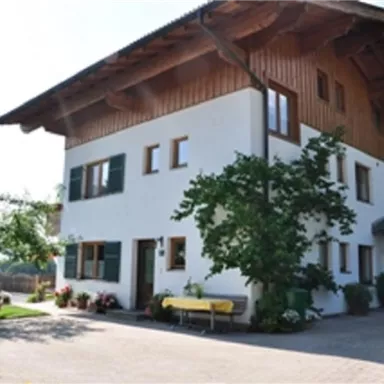A modern house with wooden cladding and large windows. The garden is green and inviting, with some flowers and trees.
