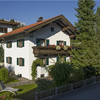A charming house with a white facade and green shutters. Surrounded by trees and a small garden, it appears inviting and cozy.