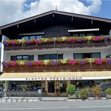 A three-story building with a shop called "Elektro Freysinger". The façade is adorned with colorful flower boxes, and plants stand in front of the building.