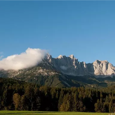 Eine majestätische Berglandschaft mit einer klaren blauen Skye und Wolken, die sanft über die Gipfel ziehen. Im Vordergrund erstreckt sich ein Wald mit grünen Bäumen.